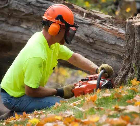 tree services Hilliard